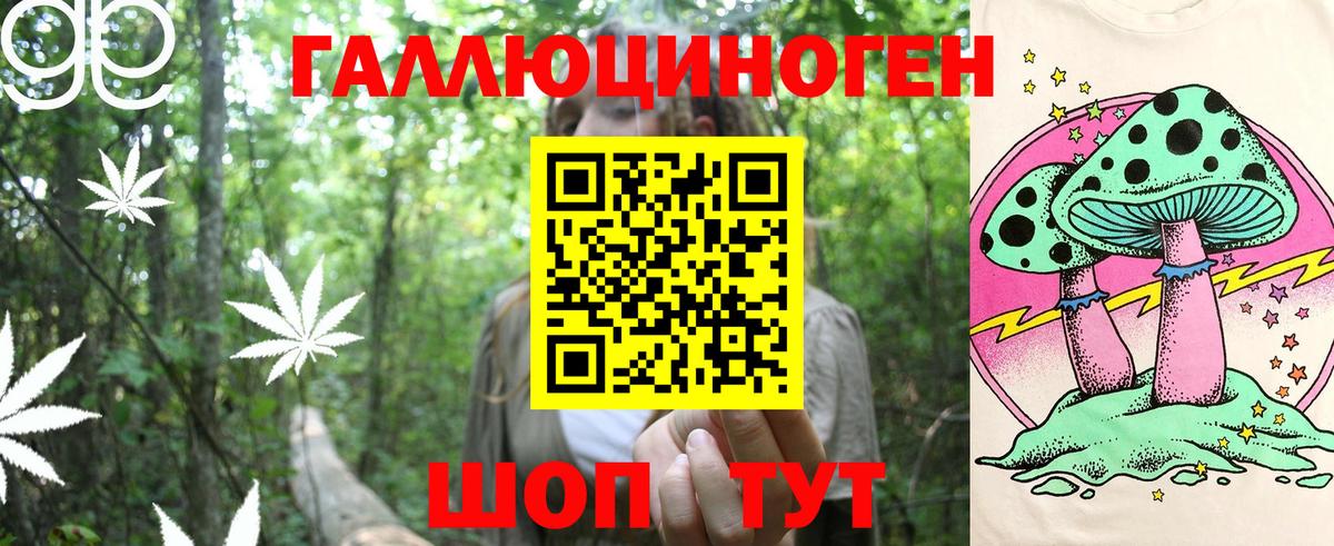 Псилоцибиновые грибы прущие грибы Александров